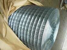 Electro Galvanized Welded Wire Mesh