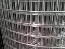 Stainless Steel Welded Wire Mesh